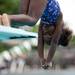 A young participant dives on Monday, July 22. Daniel Brenner I AnnArbor.com